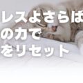 ストレスよさらば!睡眠の力で疲れをリセット